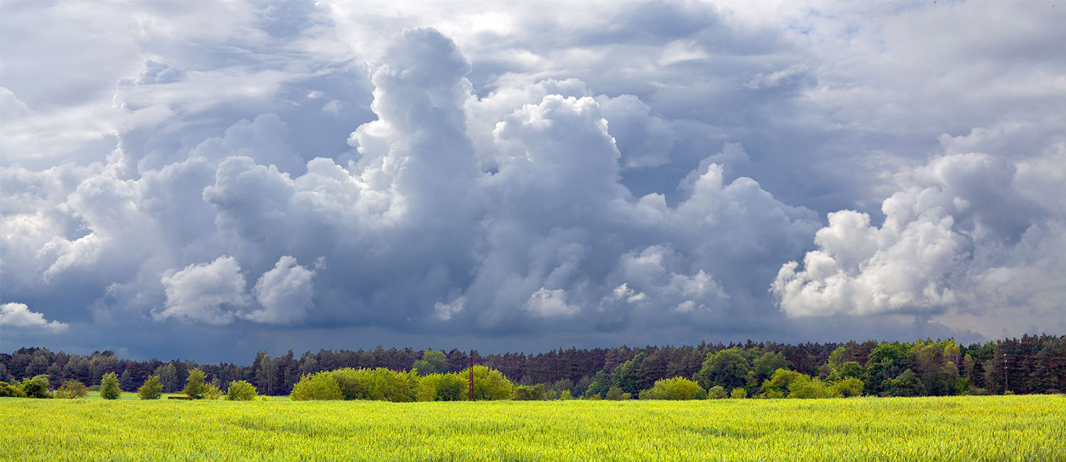 ACCURATE WEATHER FORECAST FOR INGERSOLL, ONTARIO