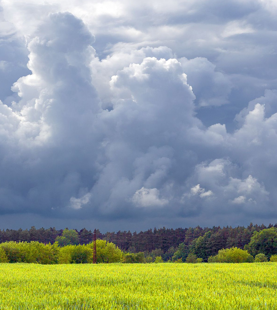 ACCURATE WEATHER FORECAST FOR INGERSOLL, ONTARIO